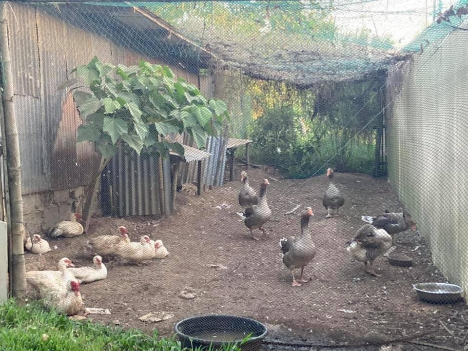 Ataalaya Farmhouse Batangas Екстериор снимка