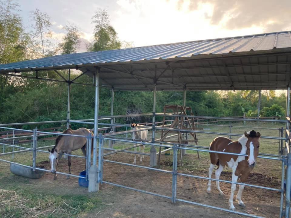 Ataalaya Farmhouse Batangas Екстериор снимка