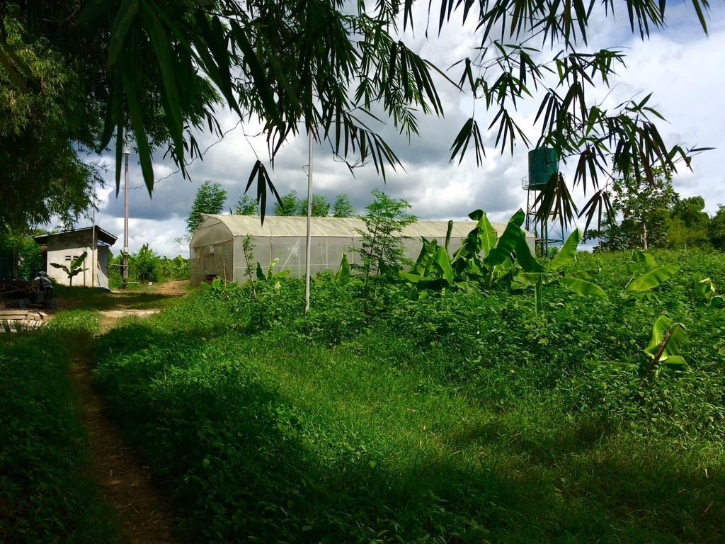Ataalaya Farmhouse Batangas Екстериор снимка